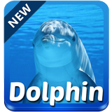 Dolphin Keyboard icon