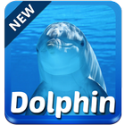 Dolphin Keyboard icon