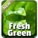 Fresh Green Theme APK