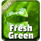 Fresh Green icon