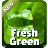Fresh Green icon