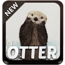Otter Thème APK
