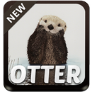 Otter Theme APK