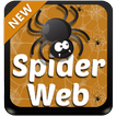 Araignée clavier Web