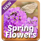 Spring Flowers Keyboard icon