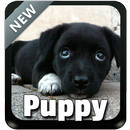 Puppy Theme Keyboard APK