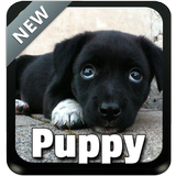 Puppy Theme Keyboard icon