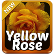Amarillo teclado Rose