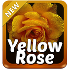 Yellow Rose Keyboard icon