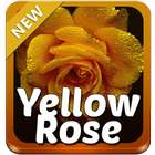 Yellow Rose Keyboard icône