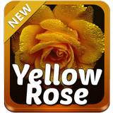 Yellow Rose Keyboard icône