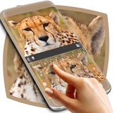 Cheetah Keyboard Theme ícone