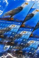 Amerikanische Eagle Keyboard Plakat
