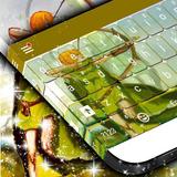 Bàn phím Elves biểu tượng