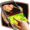 Kiwi Bird Keyboard