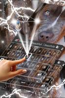 Pitbull Keyboard Theme اسکرین شاٹ 2