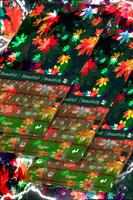 Vibrant Foliage Keyboard Cartaz