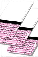 Zebra Keypad Pink Theme Poster