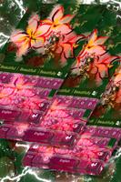 Asian Flowers Keyboard Theme penulis hantaran