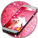 3D Cute Dog SMS APK