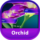 GO SMS Orchid APK
