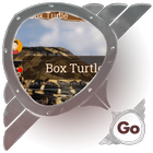 ikon Box Turtle GO SMS