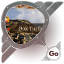 Box Turtle GO SMS APK