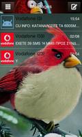 Go SMS Pro Angry BirdsR theme Affiche