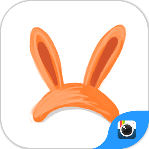 Z CAMERA ACCESSORIES STICKER