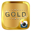 (FREE) Z CAMERA GOLD THEME