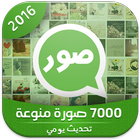 صور جميلة للواتس اب 2016-icoon