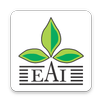 Export Team APK
