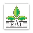 Export Team APK
