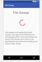 File Sweep poster