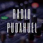 Radio Pudahuel Online FM ikona