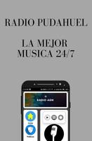 Poster Radio Pudahuel Online FM