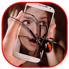 Spider On Body/Face Prank Cam icône