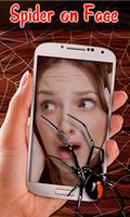 Spider On Body/Face Prank Cam poster