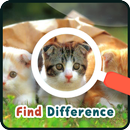 Find 5 Difference : Cats APK