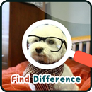 Find 5 Differences : Puppies APK