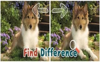 Find 5 Differences : Puppies-poster