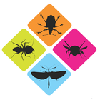 Pest Clear World icon