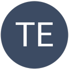 TULSI Enterprises icône