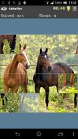 Beautiful Puzzles poster