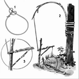 الفخاخ الحيوانية