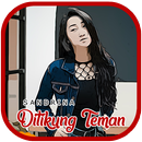 Lagu Sandrina Pacarku Ditikung Teman APK