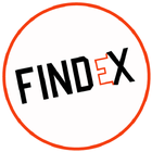 Findex Empresa icône