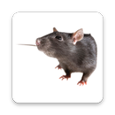 Mouse and Rat Soundboard APK