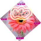 Hikayat Shiekh Saadi icon