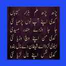 Poetry of Baba Bulay shah APK